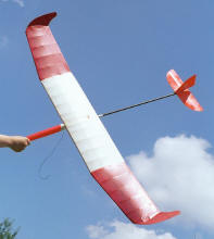 Gnat 4