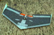 warhawk1.jpg (113224 bytes)
