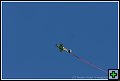 thn_E1D05565.jpg
