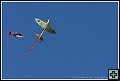thn_E1D05583.jpg