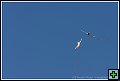 thn_E1D05669.jpg