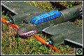 thn_E1D05751.jpg