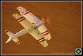 thn_E1D10437.jpg