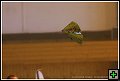thn_E1D10617.jpg