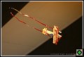 thn_E1D10621.jpg