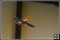 thn_E1D10710.jpg