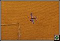 thn_E1D10768.jpg