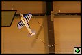 thn_E1D10793.jpg