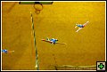 thn_E1D10839.jpg