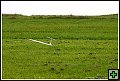 thn_E1D07795.jpg