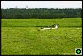 thn_E1D07822.jpg