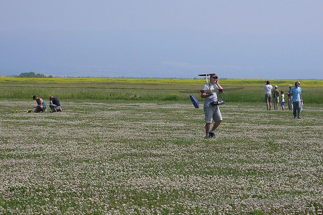 img00009.jpg