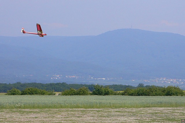img00010.jpg