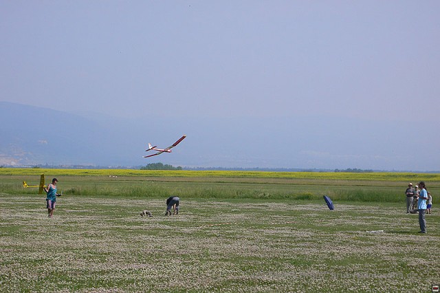 img00011.jpg