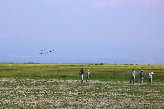 img00016.jpg