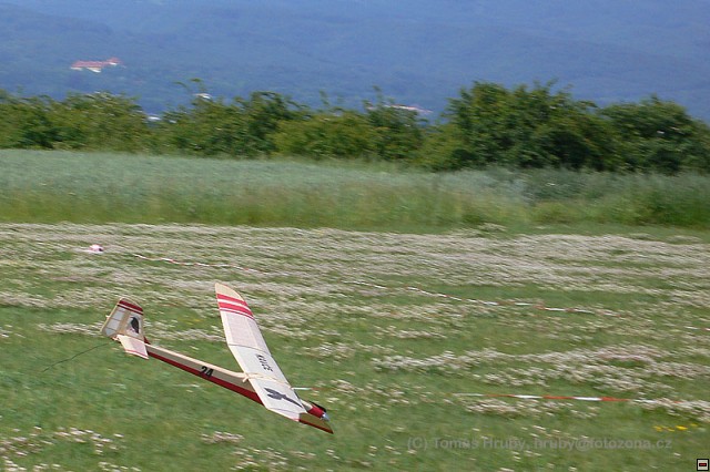 img00019.jpg