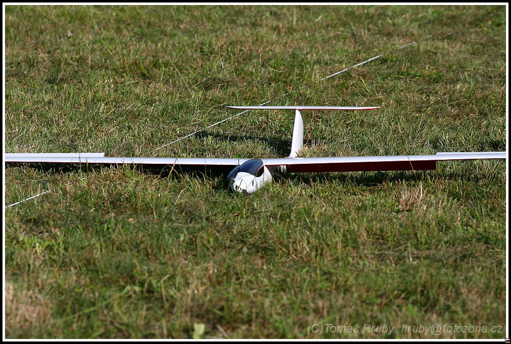 E1D10436.jpg