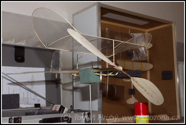 img00042.jpg